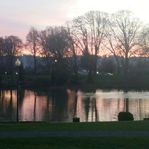 Meet your Posher, Rosalie